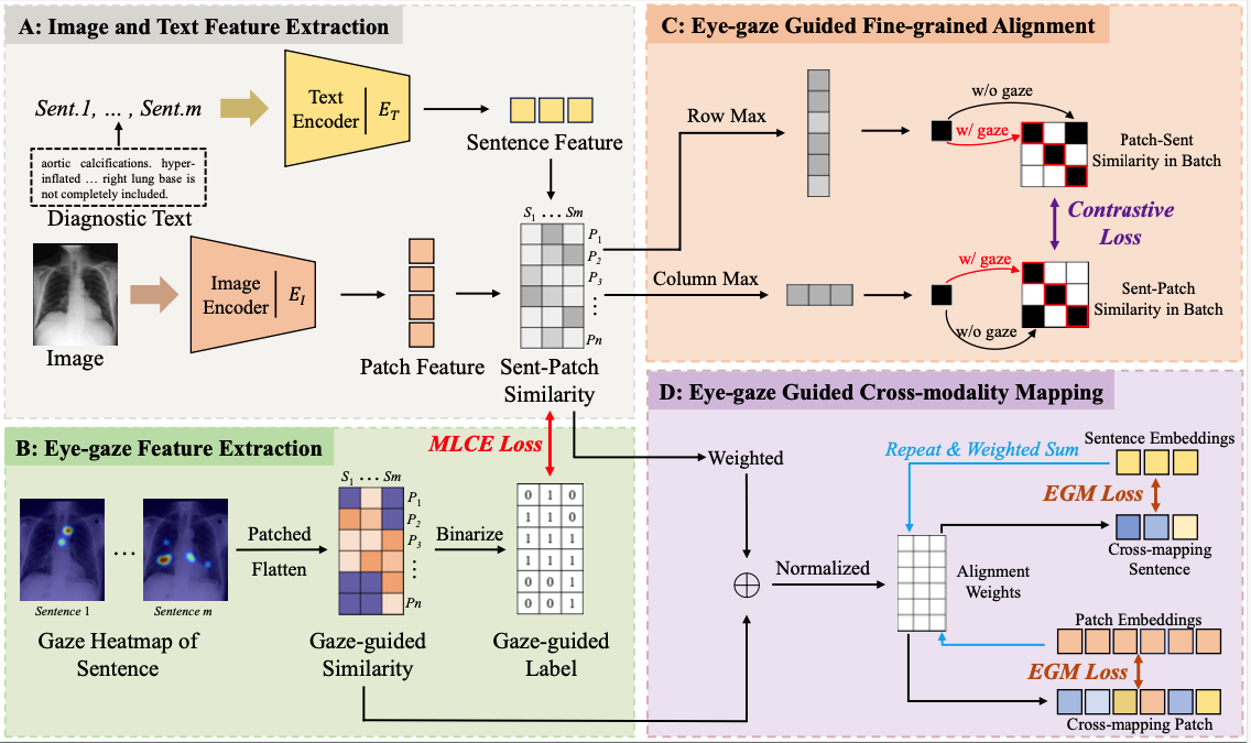 Eye-gaze Guided Multi-modal Alignment for Medical Representation Learning
