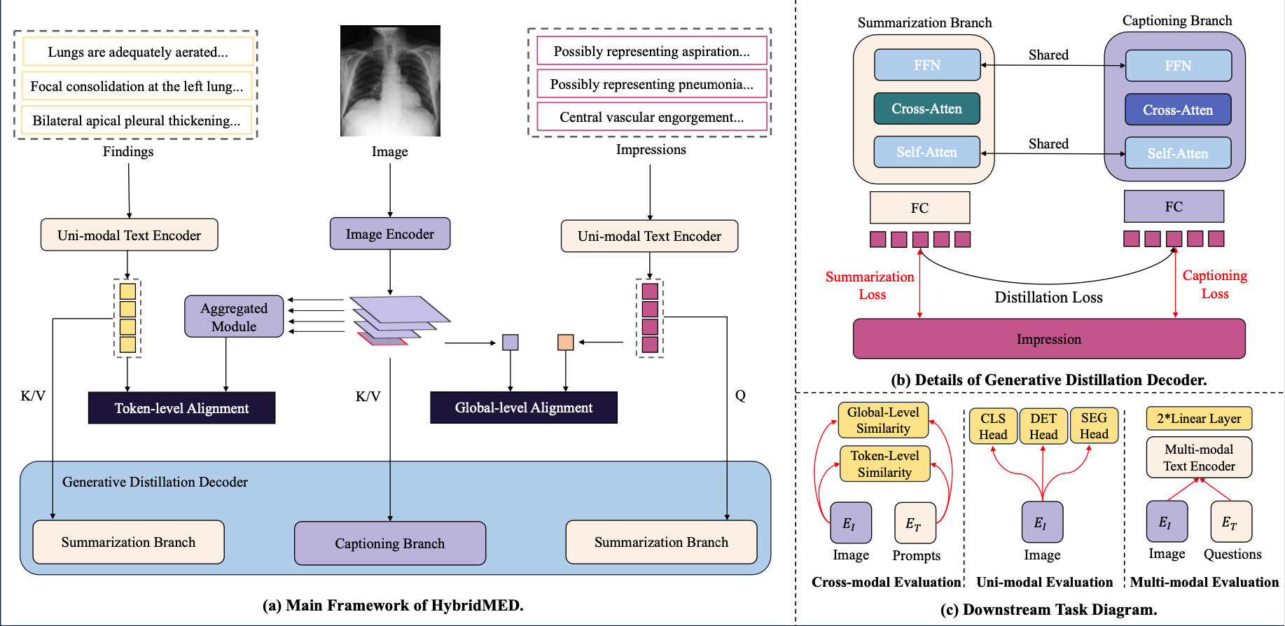 Advancing Medical Radiograph Representation Learning: A Hybrid Pre-training Paradigm with Multilevel Semantic Granularity